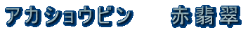 �A�J�V���E�r���@���Ő� 