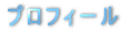 プロフィール 