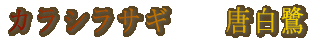 �J���V���T�M�@�@������