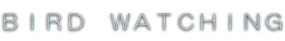ＣＯＭＢＩＮＡＴＩＯＮ 
